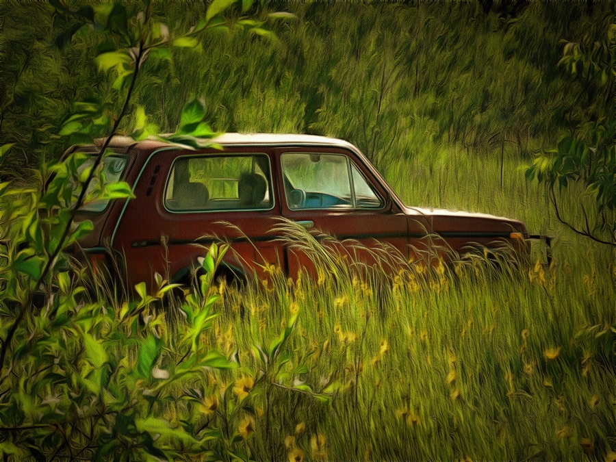 Фото жизнь