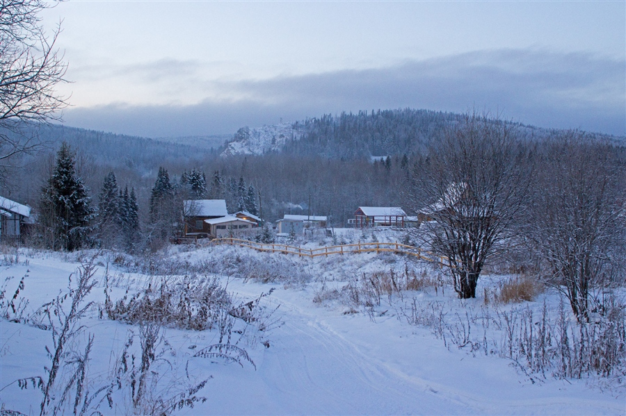 Фото жизнь