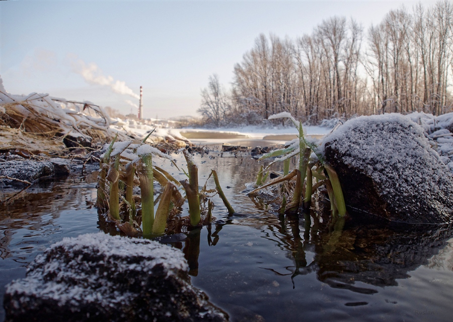 Фото жизнь