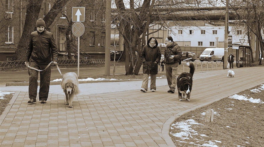 Фото жизнь