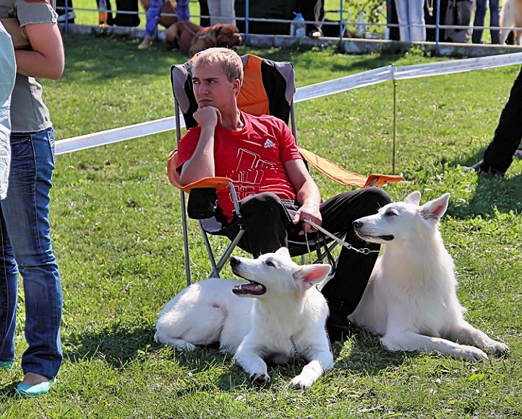 Фото жизнь (light) - Евгений Верзилин  - Собаки - Хороший экстерьер, Хозяин!