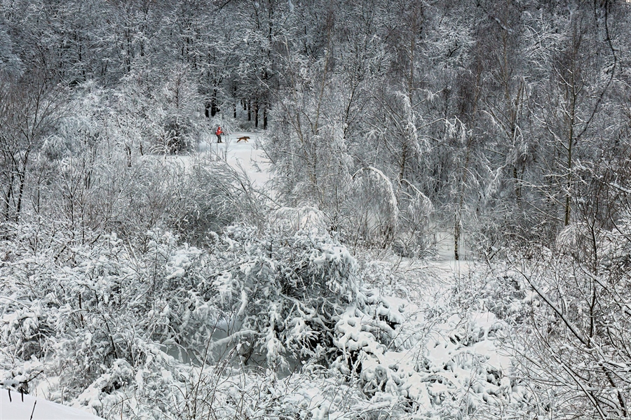 Фото жизнь