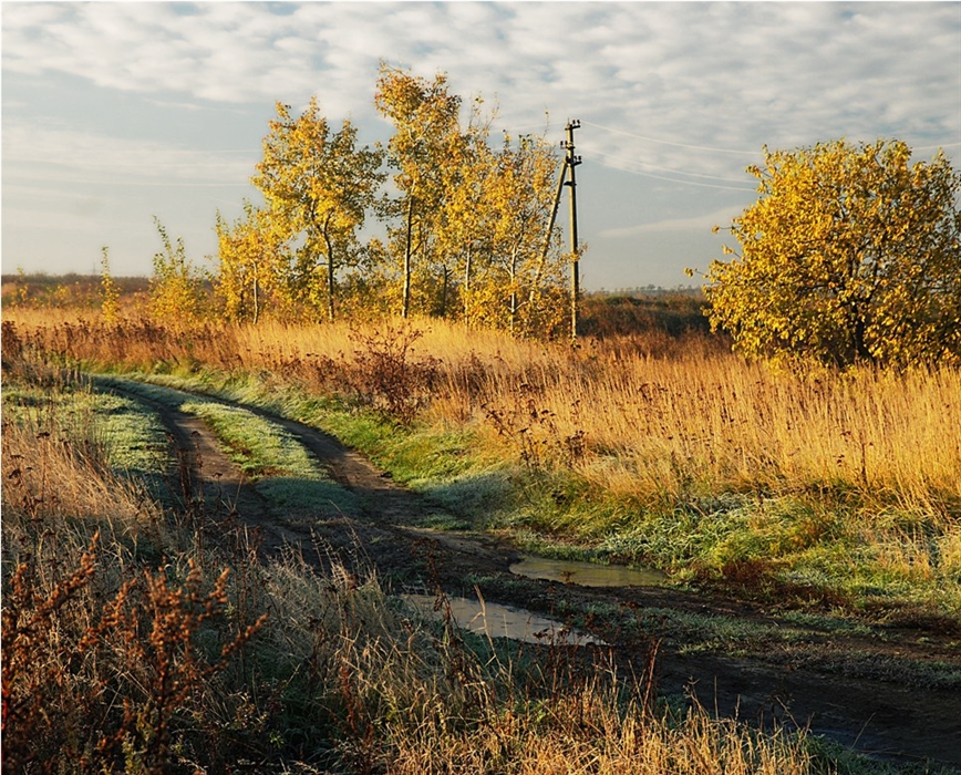 Фото жизнь