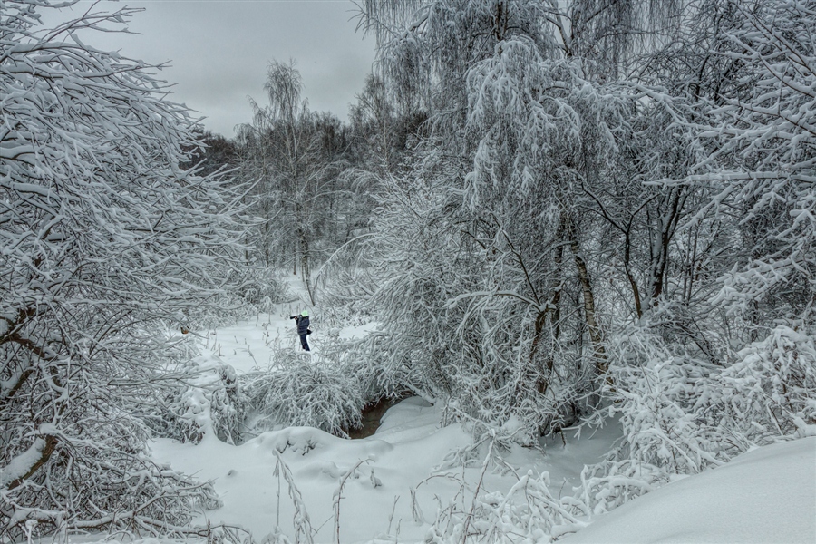 Фото жизнь