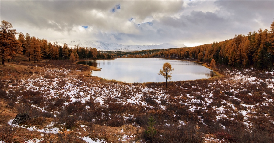 Фото жизнь