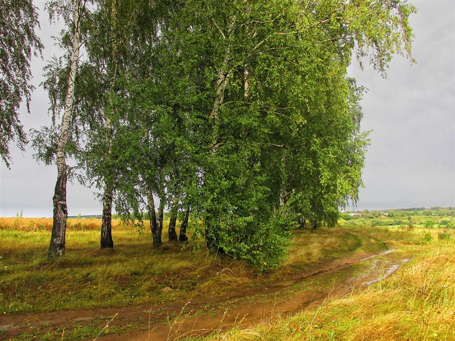 Фото жизнь