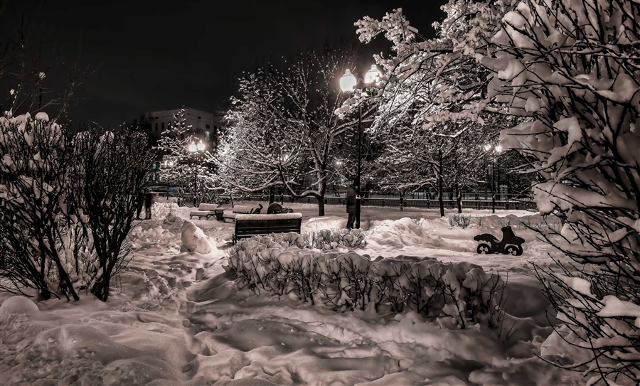 Фото жизнь