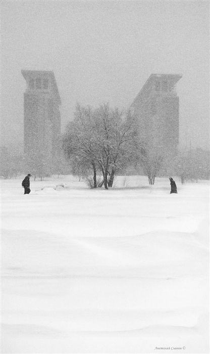 Фото жизнь