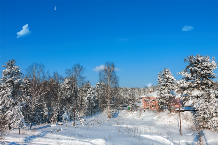 Фото жизнь