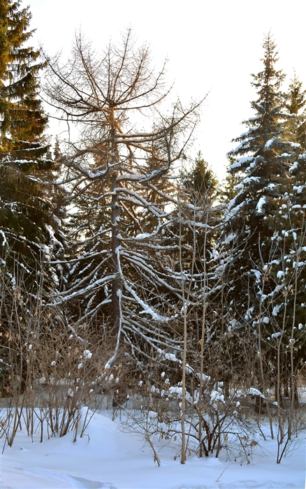 Фото жизнь
