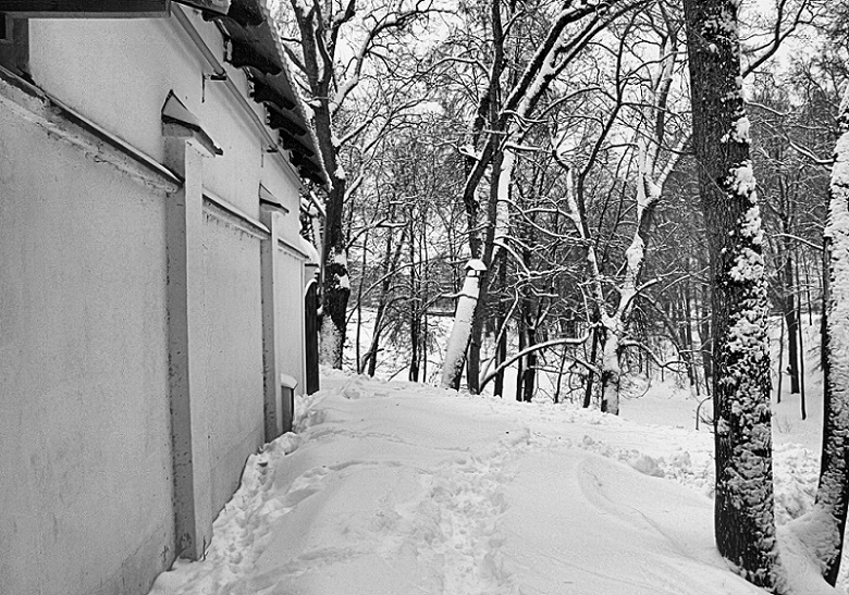 Фото жизнь - Евгений Верзилин  - корневой каталог - Зима