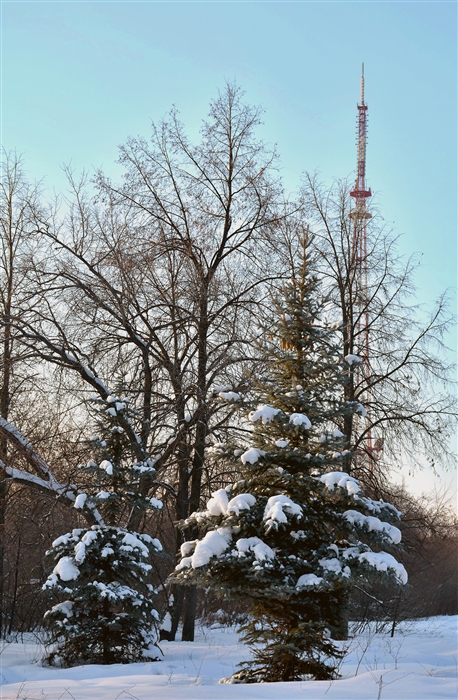 Фото жизнь