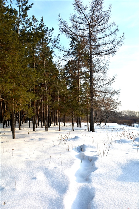 Фото жизнь