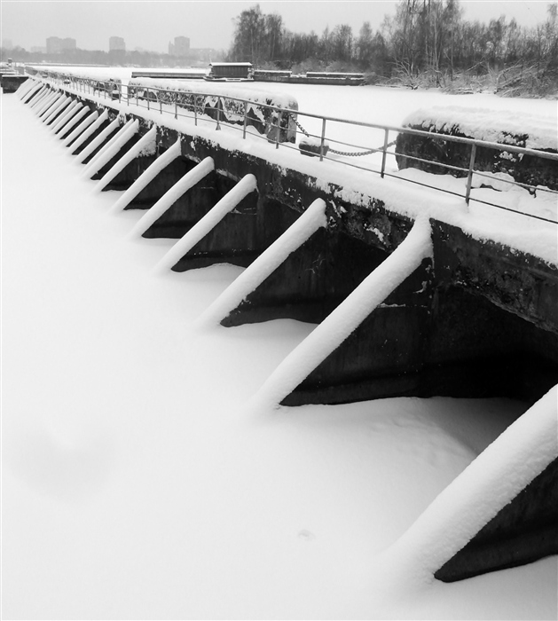 Фото жизнь