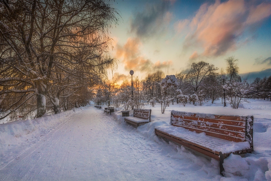 Фото жизнь