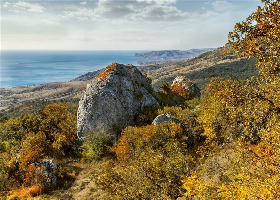 Фото жизнь