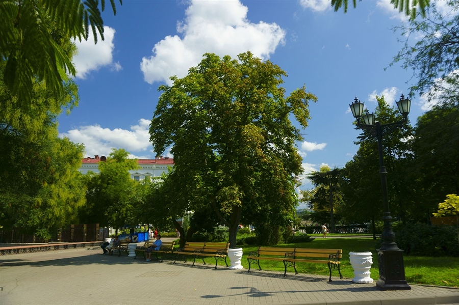 Фото жизнь