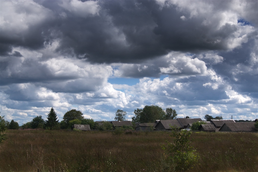 Фото жизнь