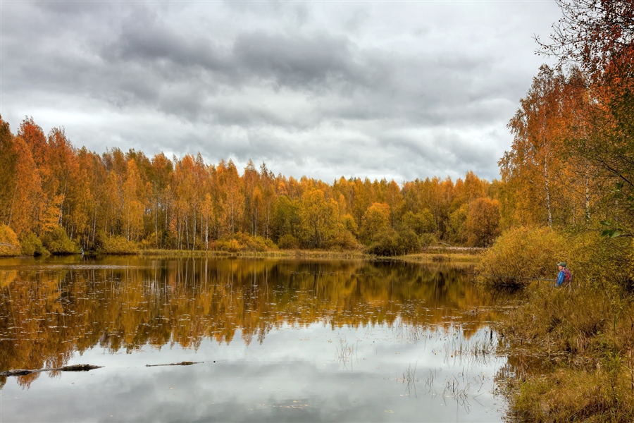 Фото жизнь