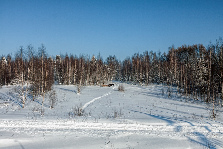 Фото жизнь