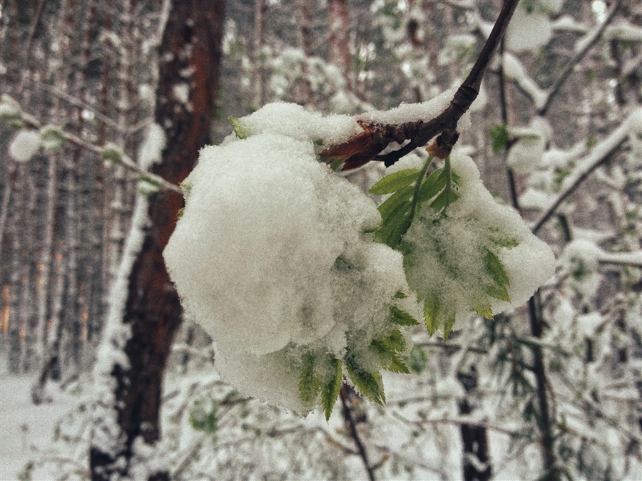 Фото жизнь