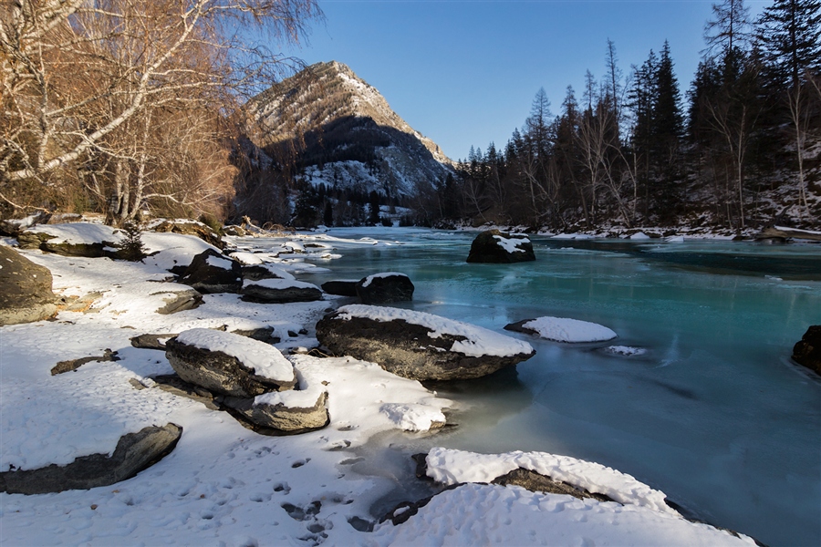 Фото жизнь