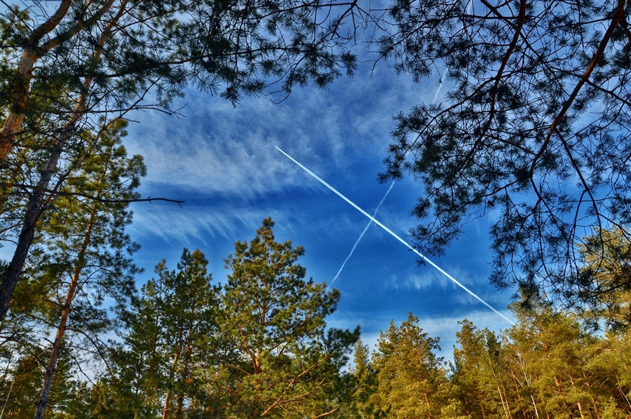 Фото жизнь