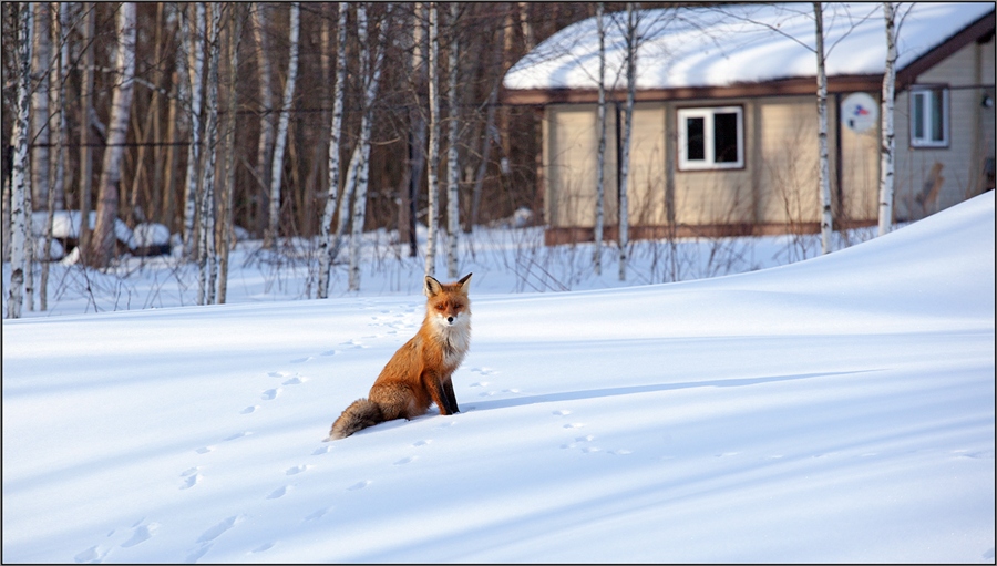 Фото жизнь
