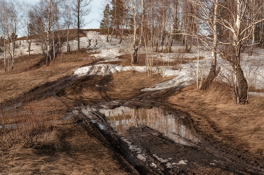 Фото жизнь