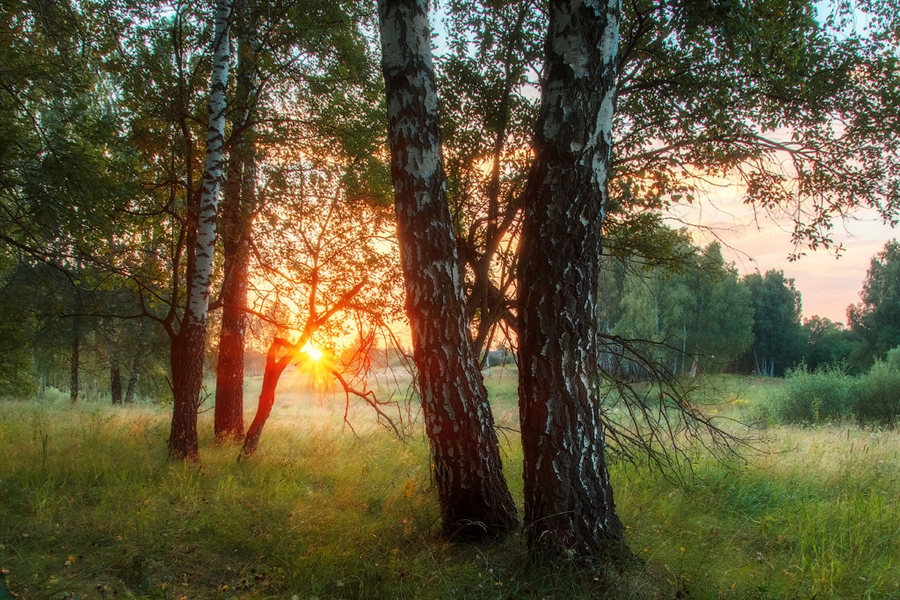 Фото жизнь