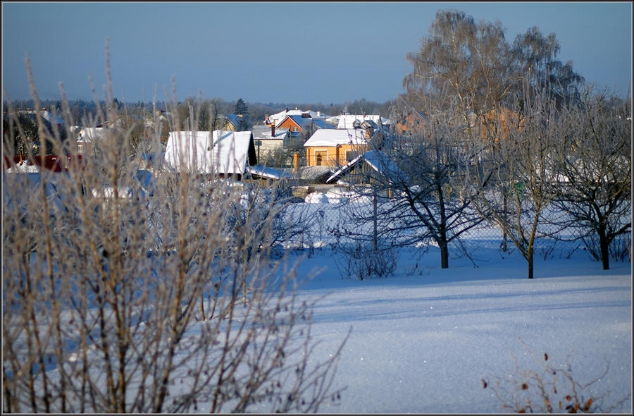 Фото жизнь