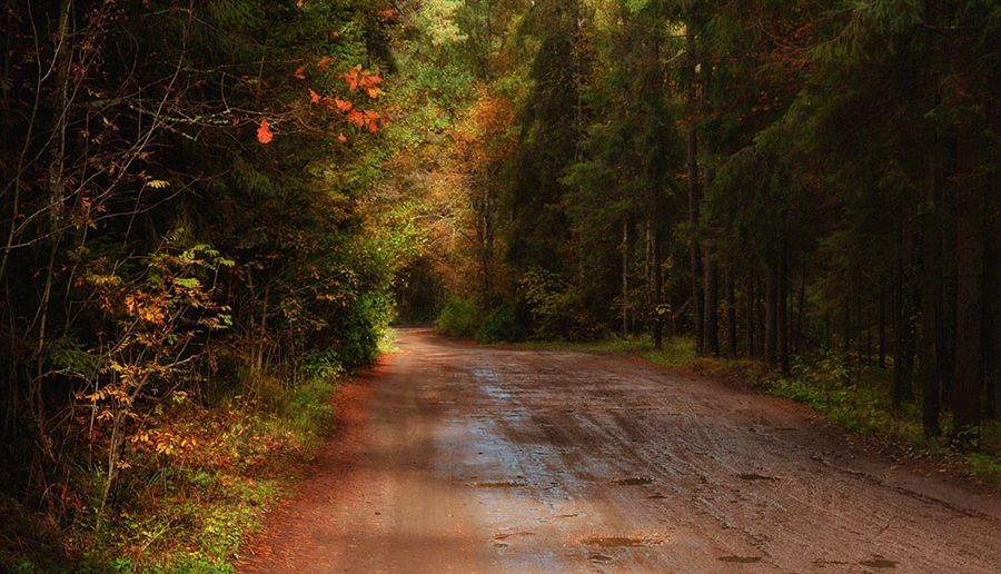 Фото жизнь