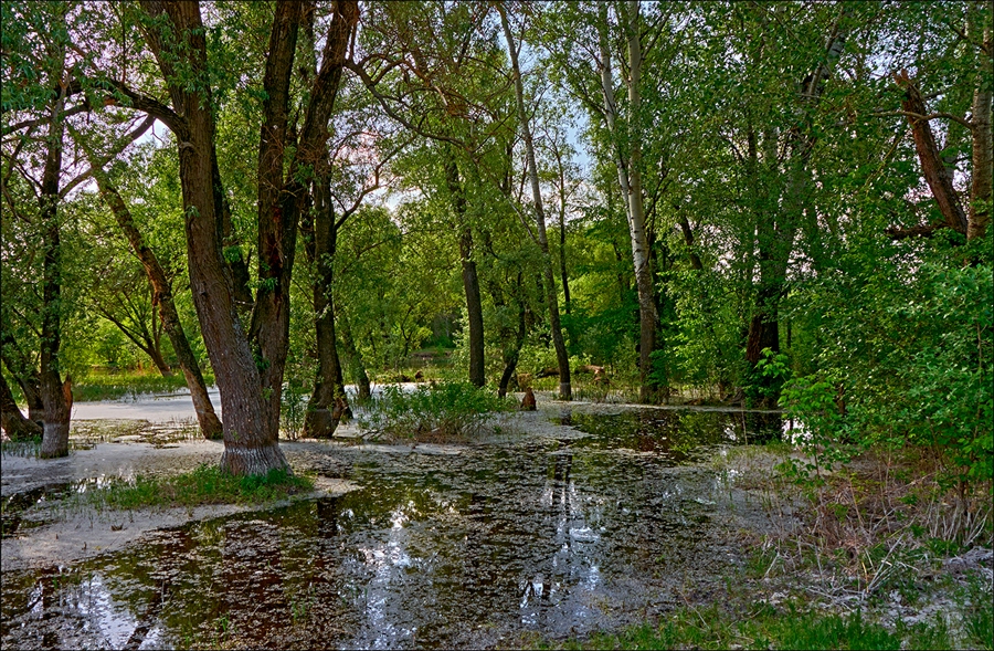 Фото жизнь