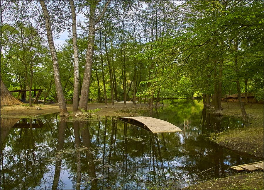 Фото жизнь