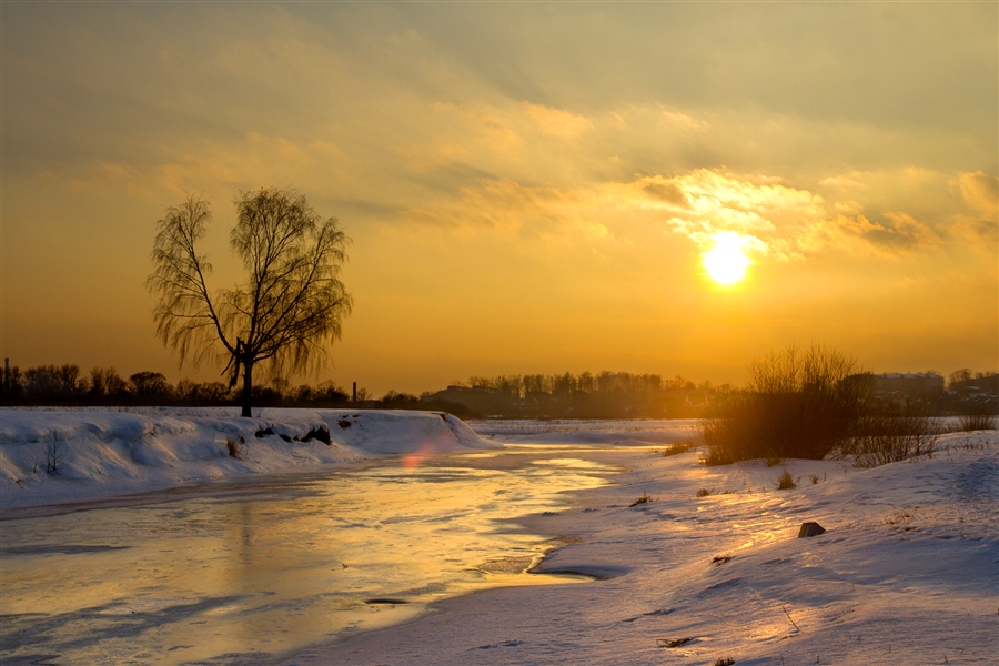 Фото жизнь