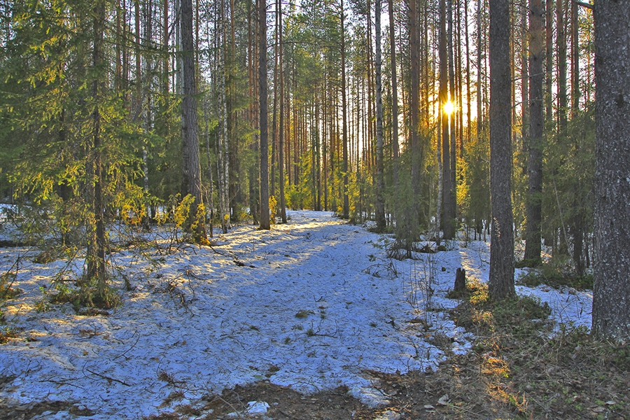 Фото жизнь