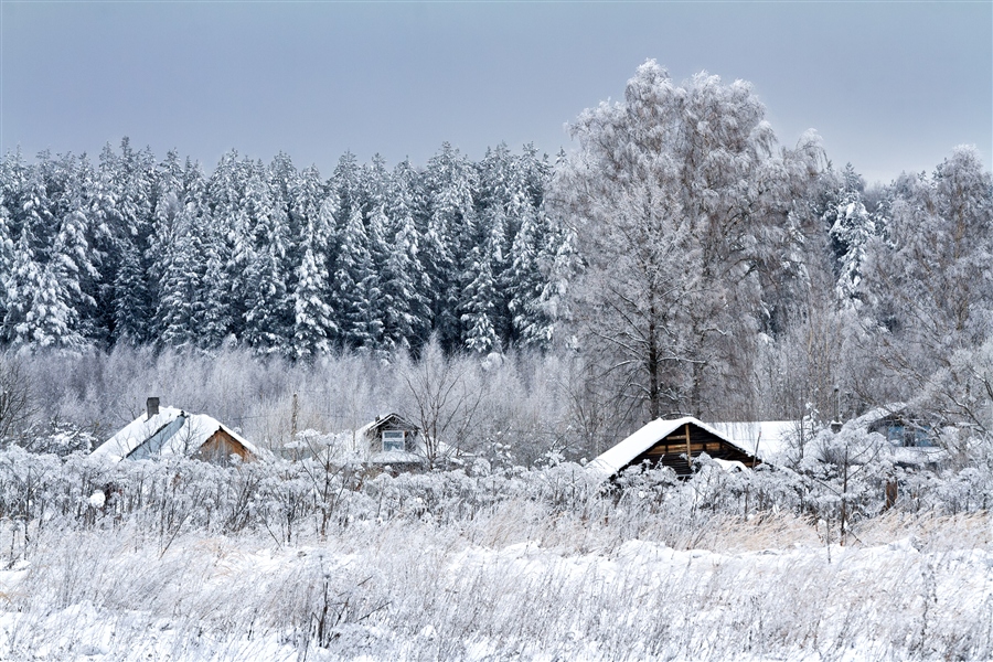 Фото жизнь