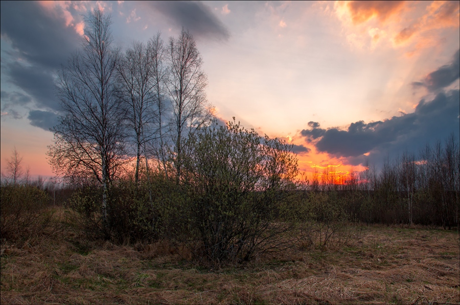 Фото жизнь