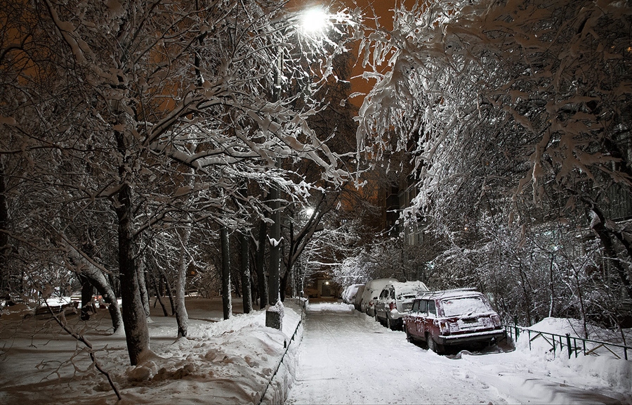 Фото жизнь