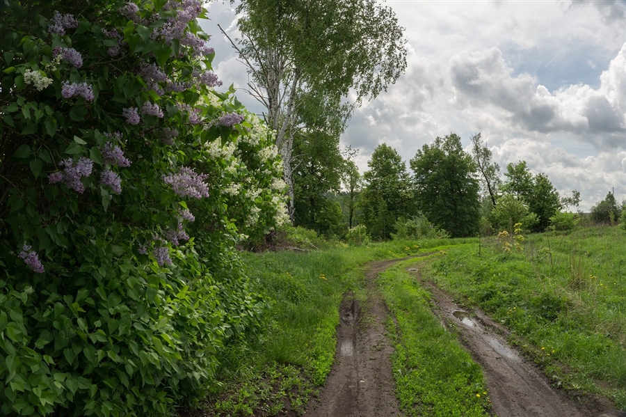 Фото жизнь
