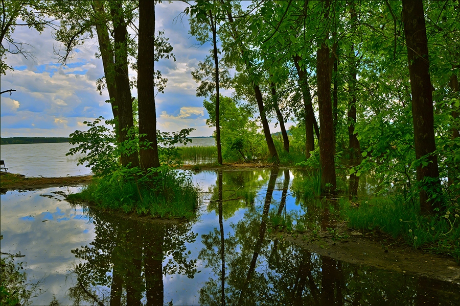 Фото жизнь