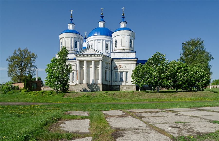 Фото жизнь