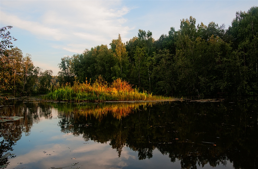 Фото жизнь