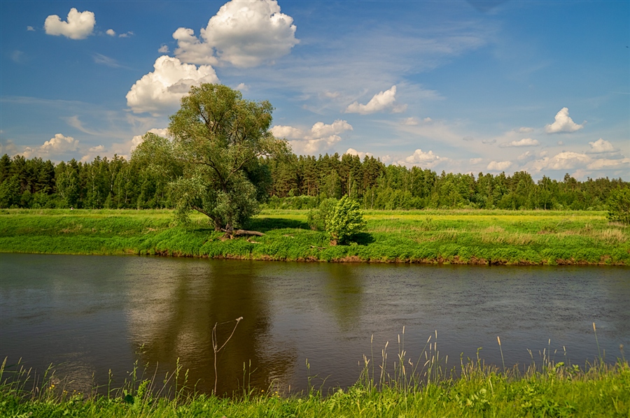 Фото жизнь