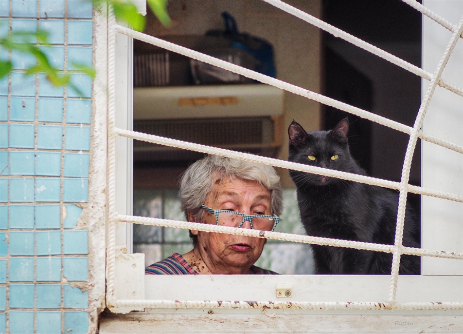 Фото жизнь