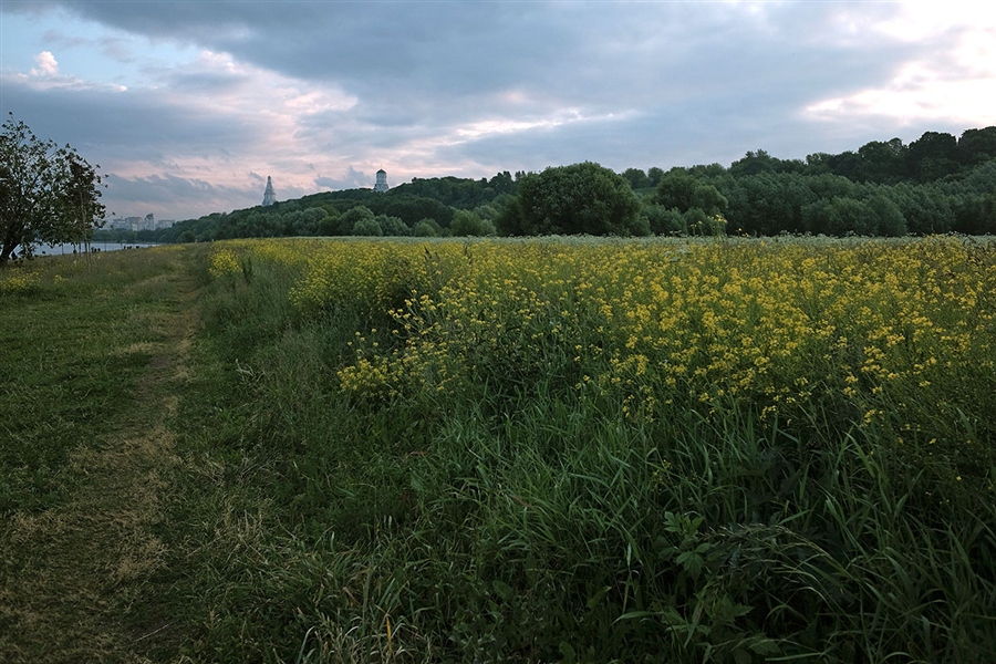 Фото жизнь