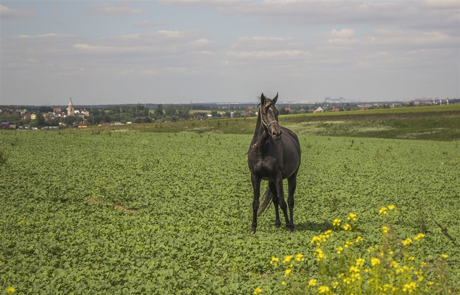 Фото жизнь