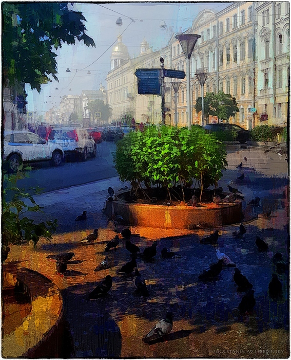 Фото жизнь