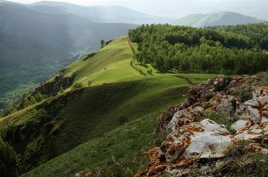 Фото жизнь