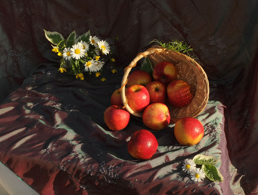 Фото жизнь (light) - Ирина Родина - корневой каталог - Натюрморт с яблоками